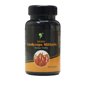 CORDYCEPS MILITARIS CAP