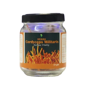 CORDYCEPS MILITARIS DRY