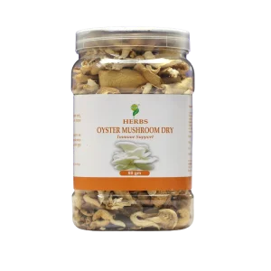 OYSTER MUSHROOM DRY